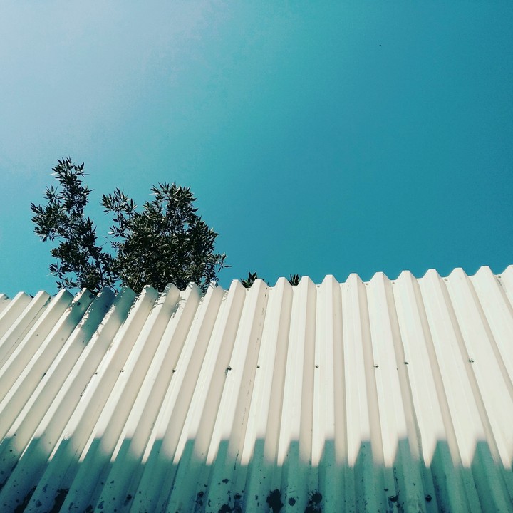 Blue Sky and a tree