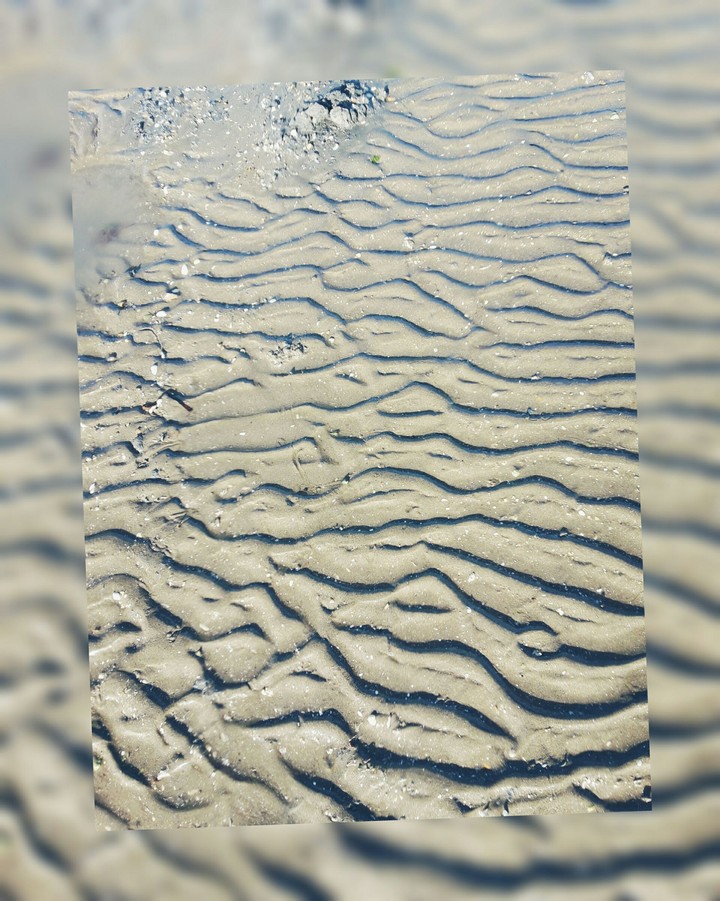 갯벌