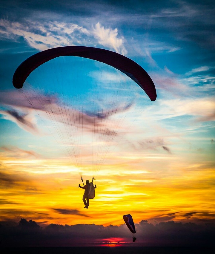 FLY '