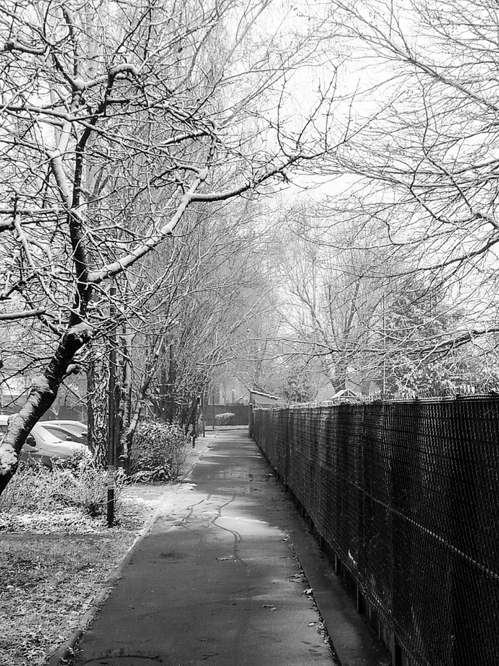 Ruelle sous la neige