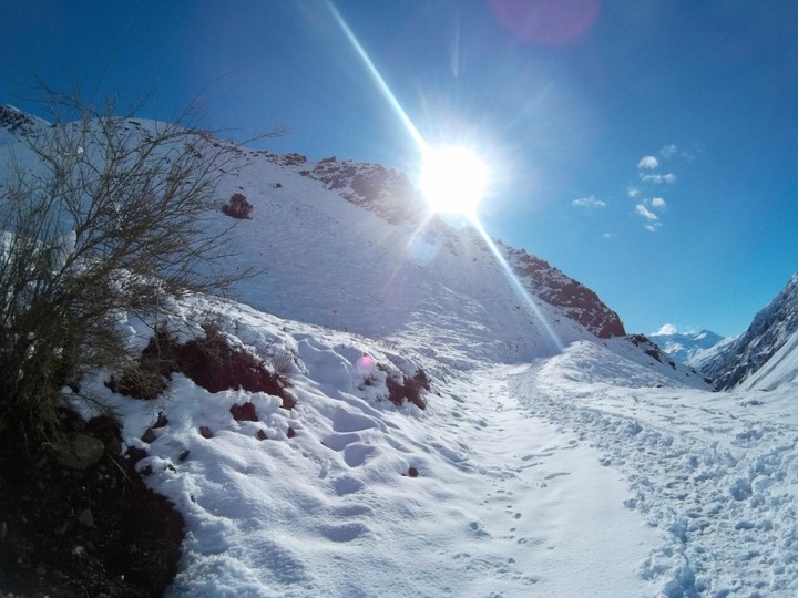 Los queñes paso internacional Vergara, Curicó
