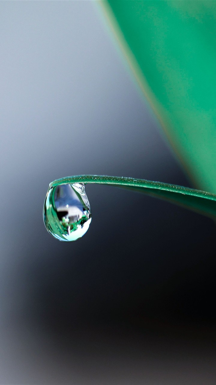drop