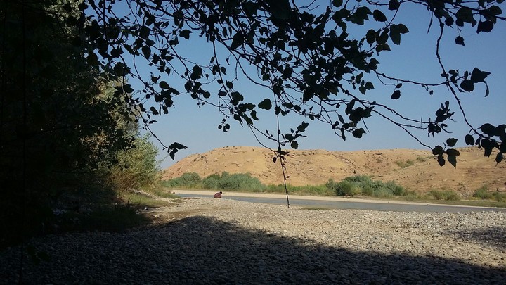 nature
