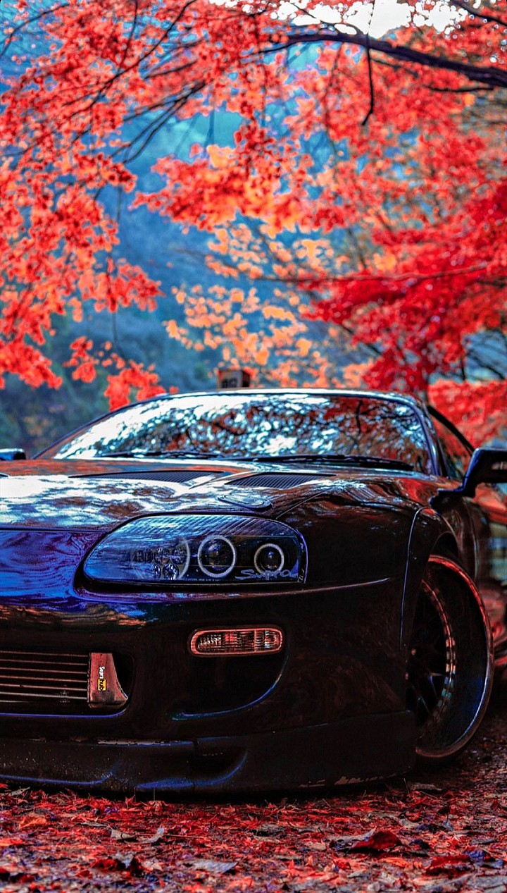 Dark Blue Supra