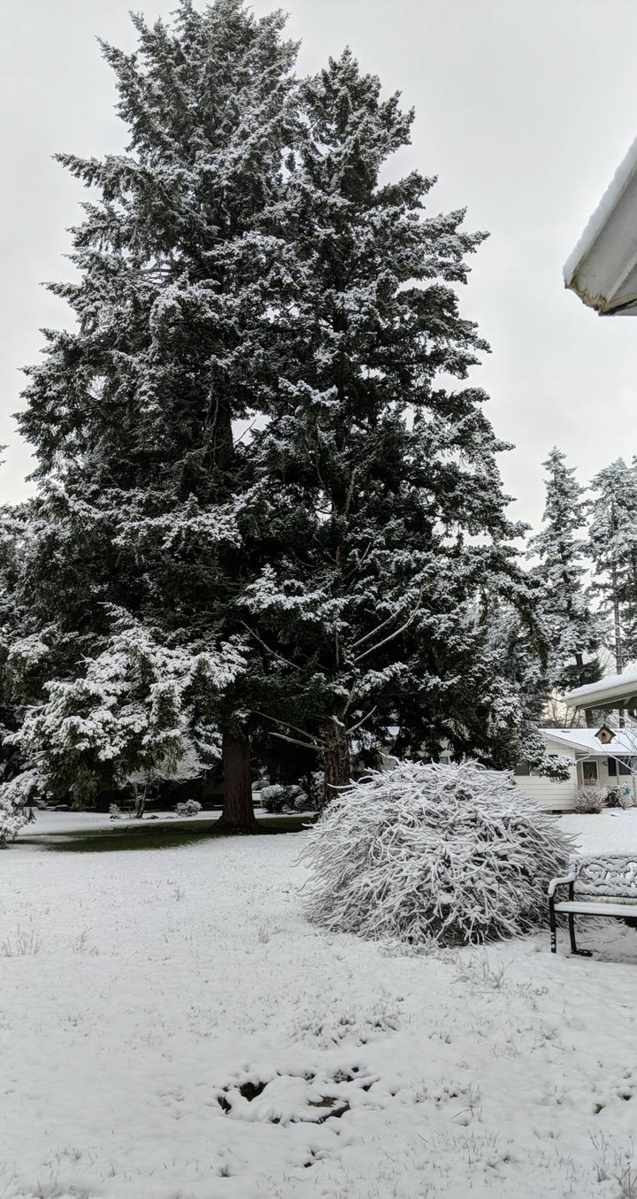 Winter in Oregon