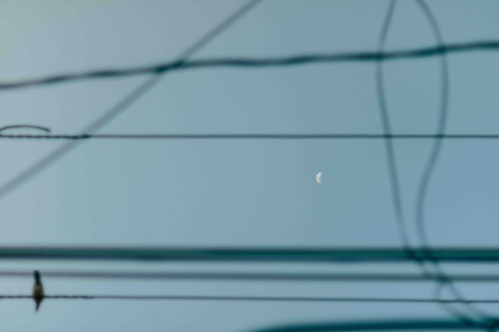 little moon