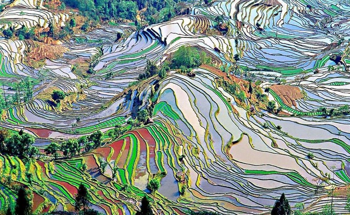 元陽梯田