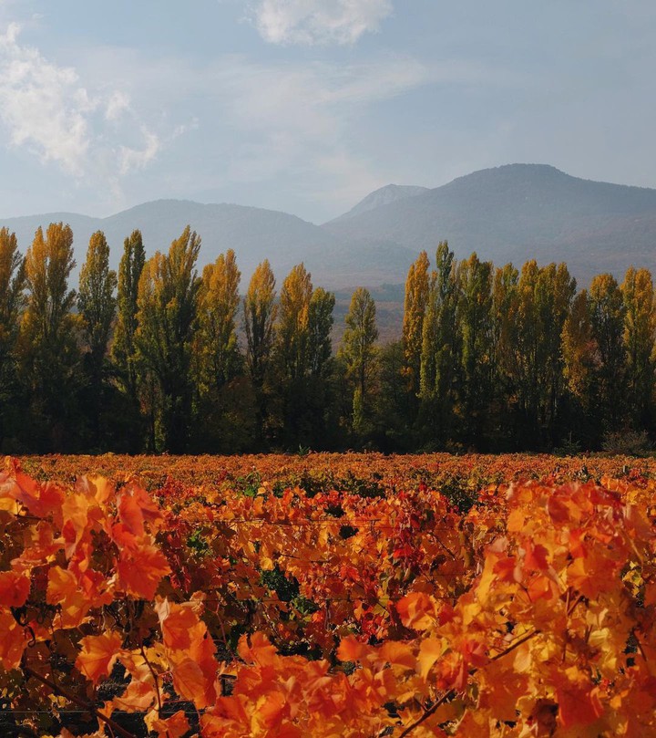 autumn