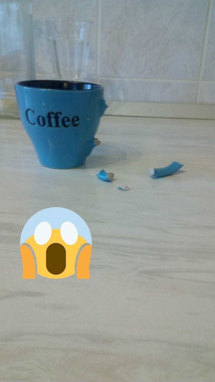 И это сделал кот!