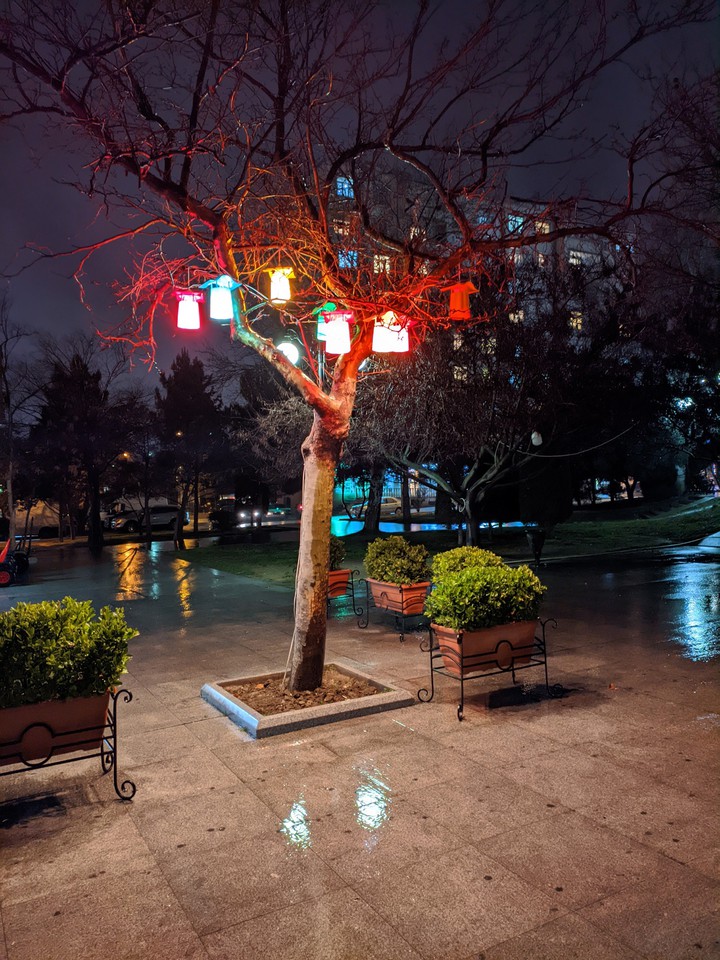 Tree with Lights, Baku, Azerbaijan