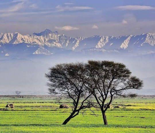 sialkot village