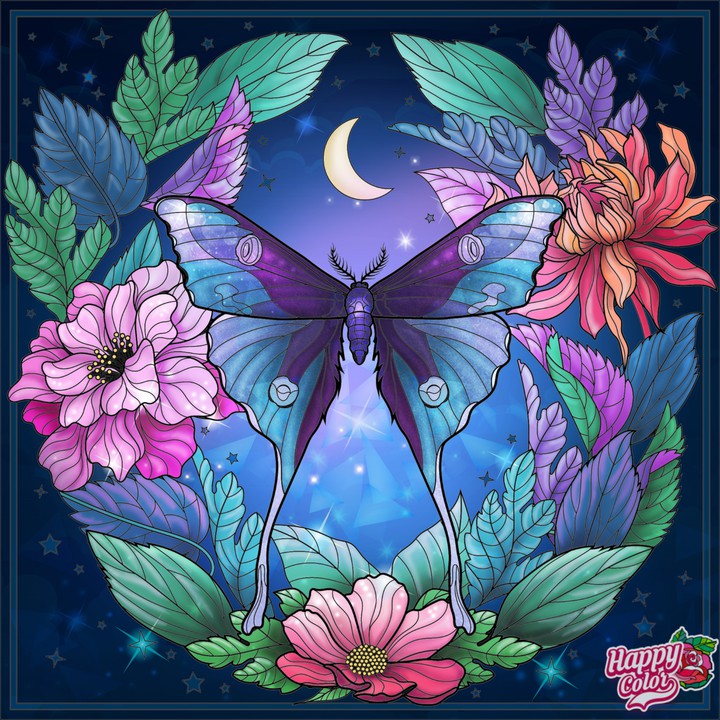 Butterfly at night