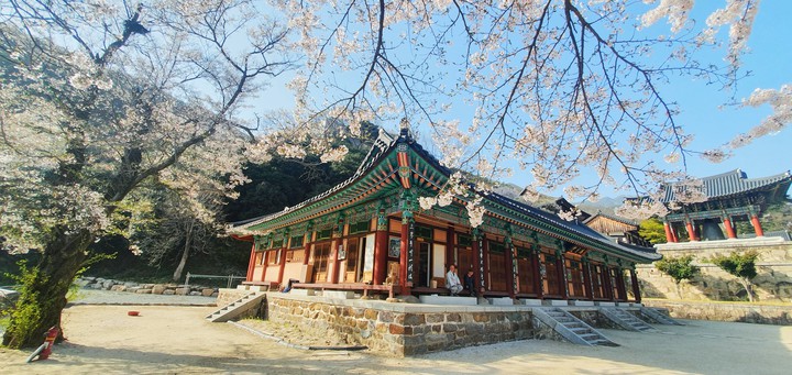 화엄사의 봄 햇살
