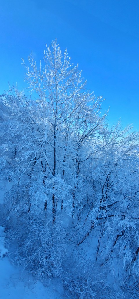 шпалери slope, blue