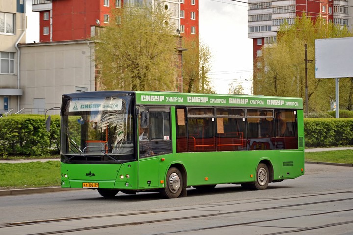 maz