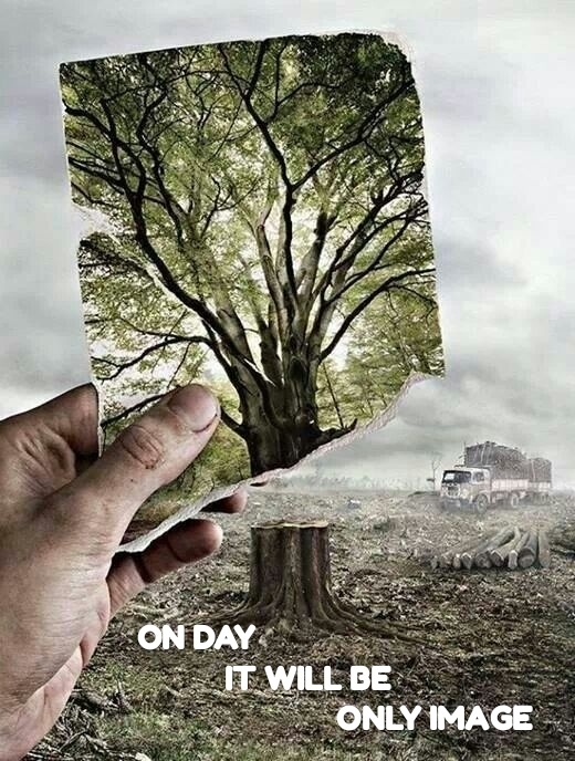 TREES PROTECTION (WAKE UP)