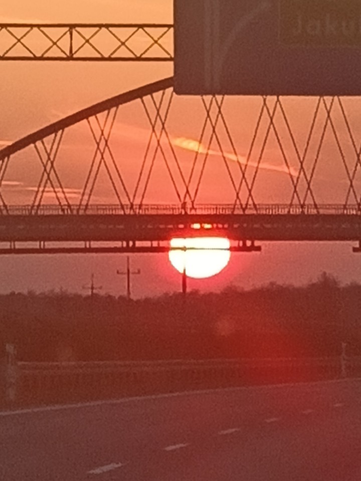 sunshine