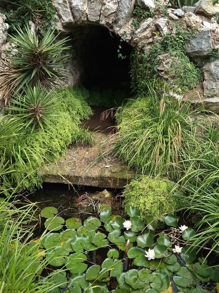 nature