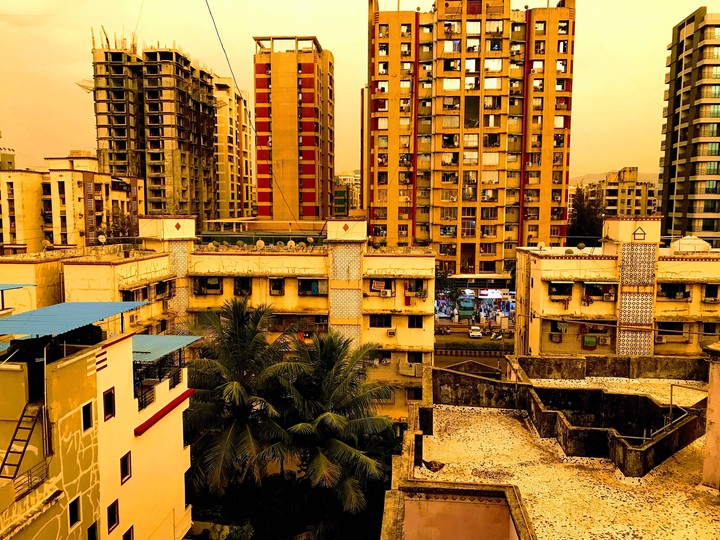 concrete jungle....