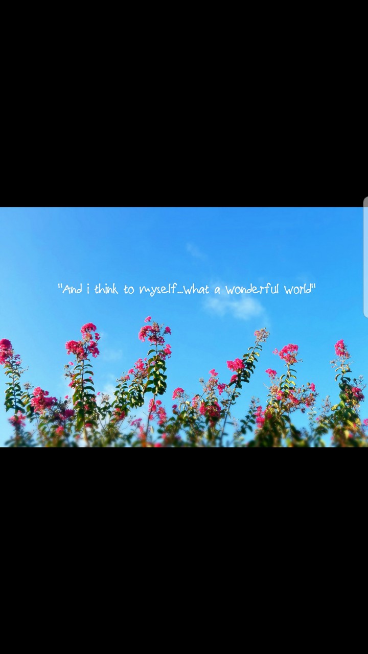 Wonderful World