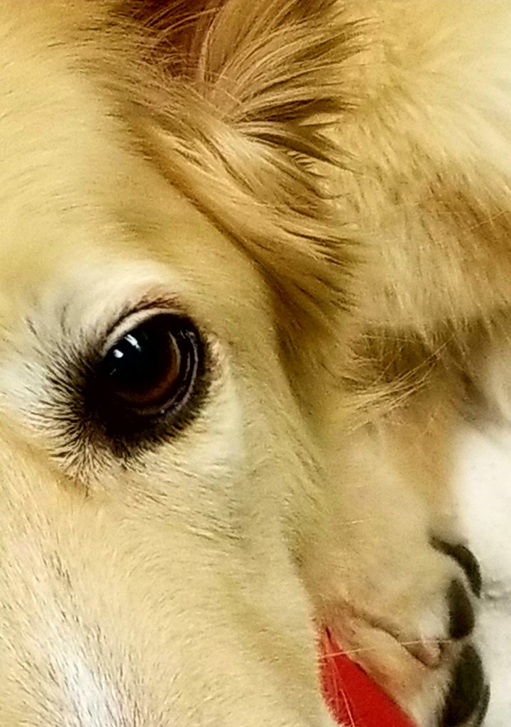 I see you