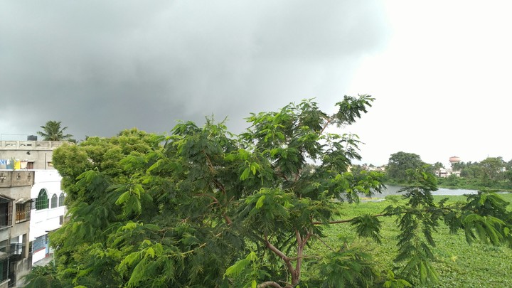 Rainy Day
