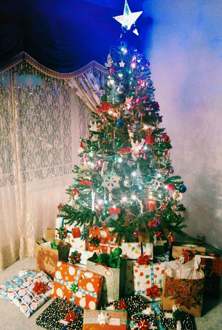 Our Christmas Tree.