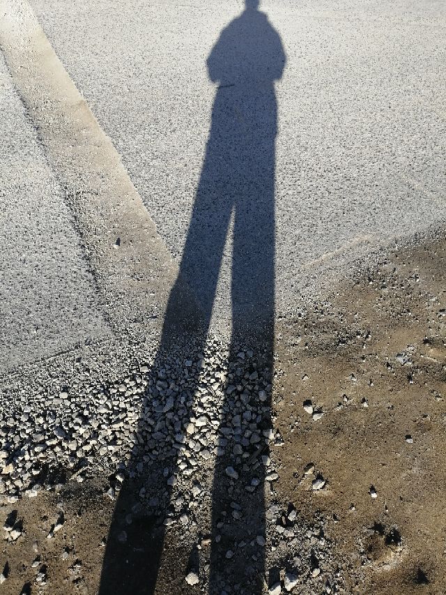 In the desert