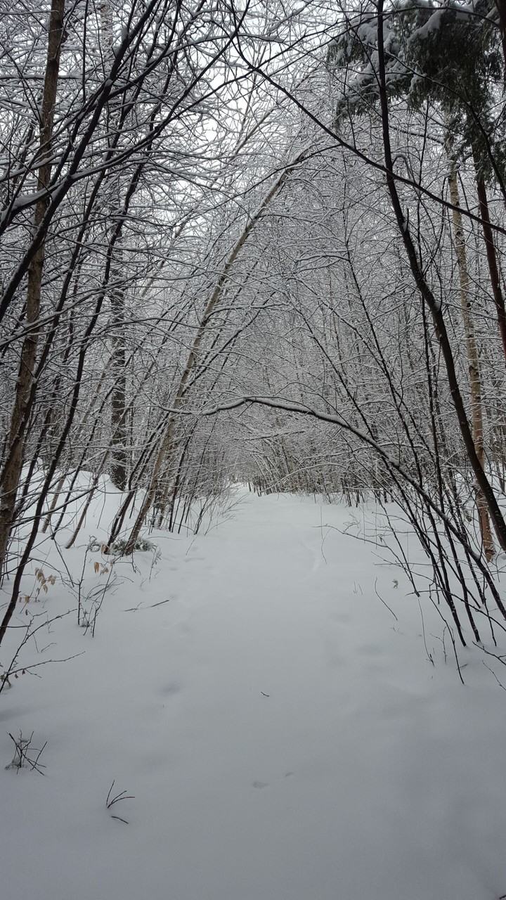 winter