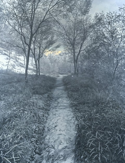 path, branch wallpapers