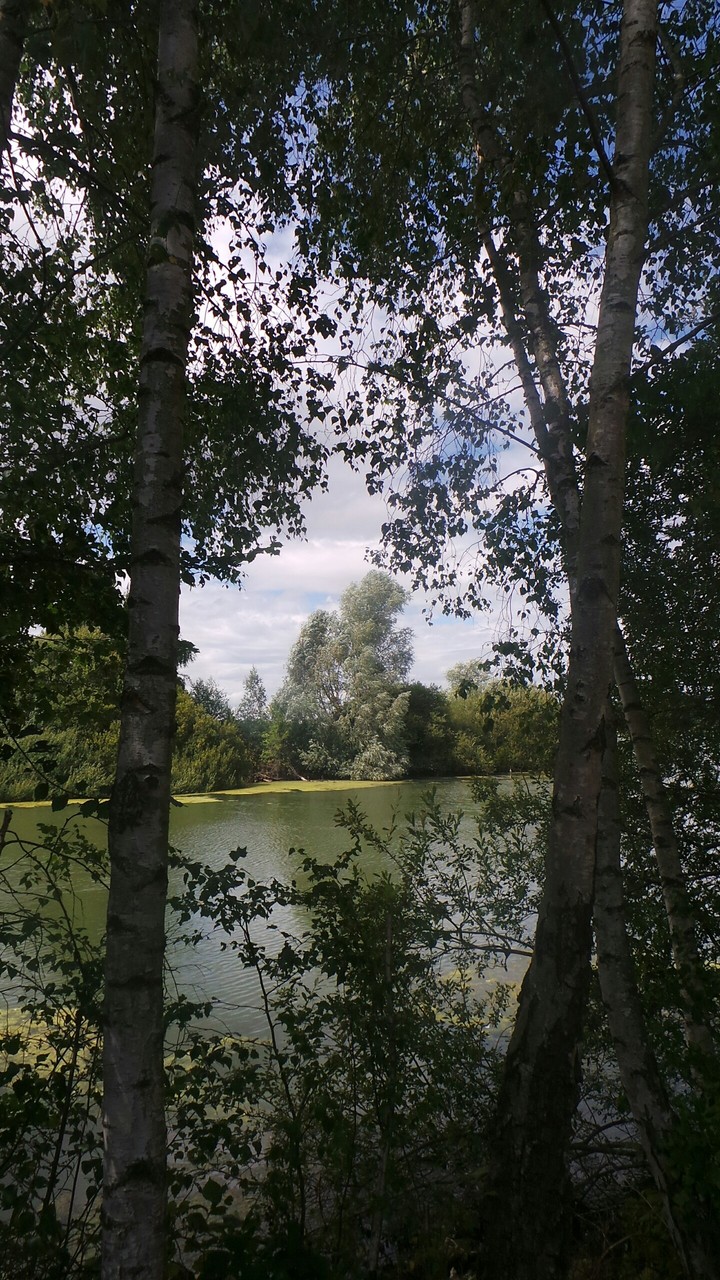 Relax