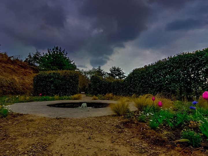 dark park