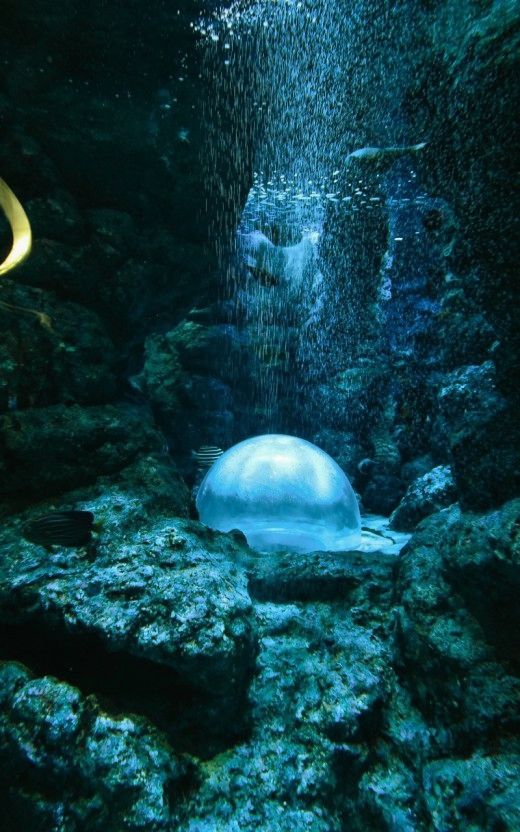 undersea caves