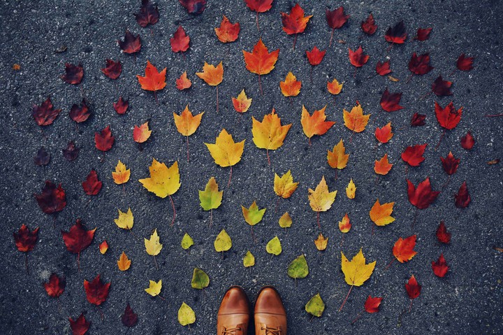 autumn