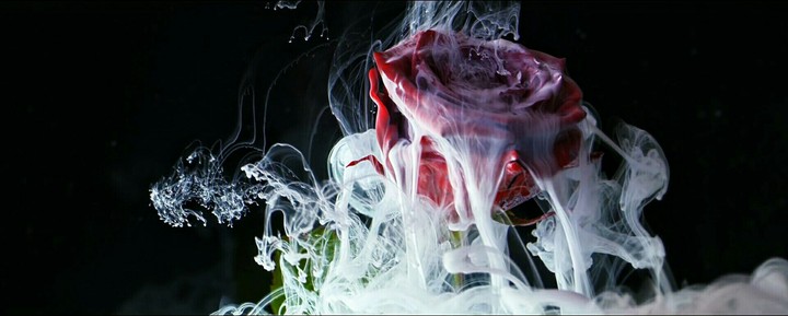 smoke on rose