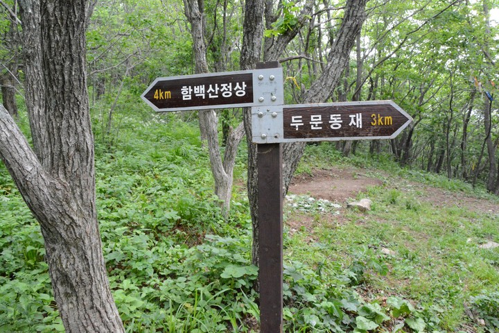 함백산이미지