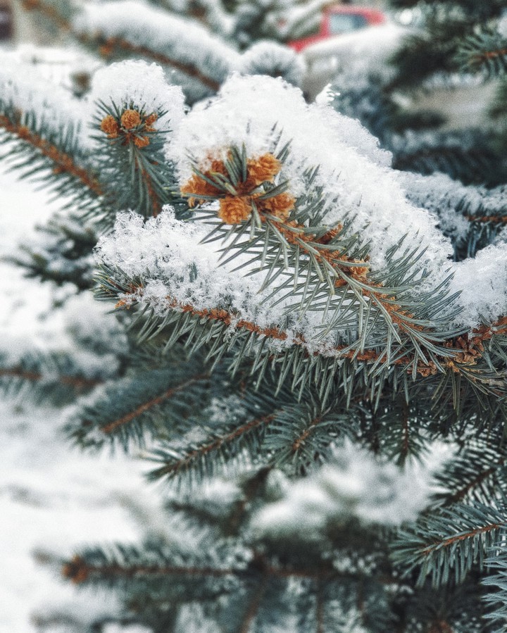 winter