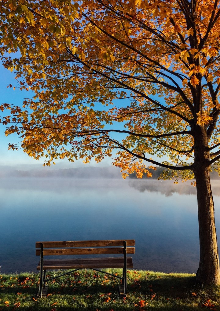 Lake view...