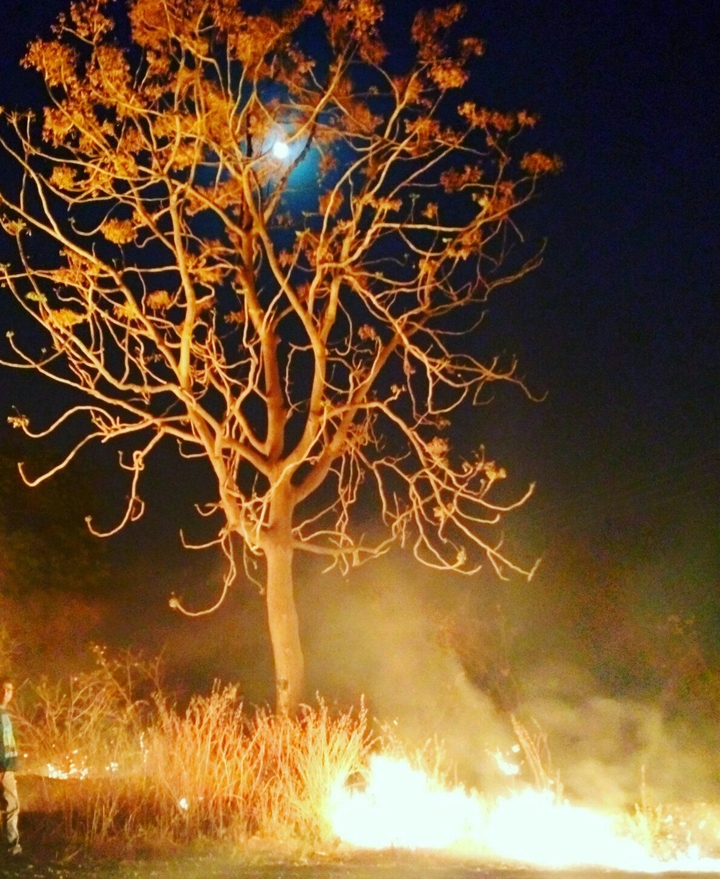 firey moon