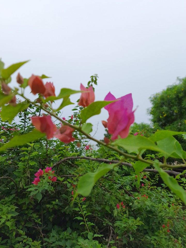 my passion my photography
