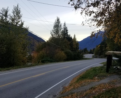 theres beauty in the road