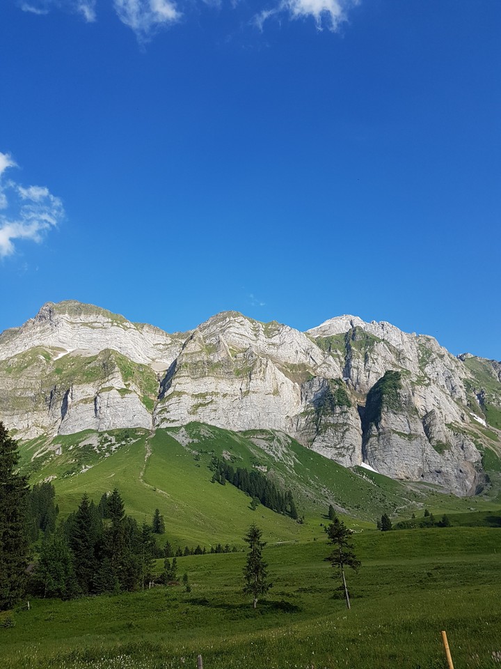 Mountain