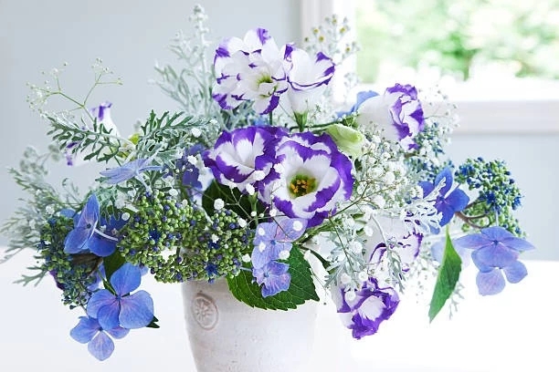 blue and violet arrangement