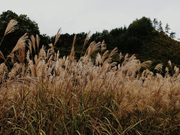 Autumn