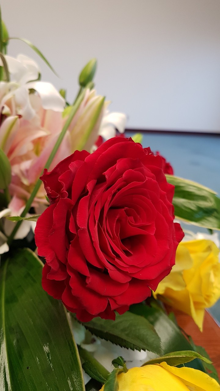 flower