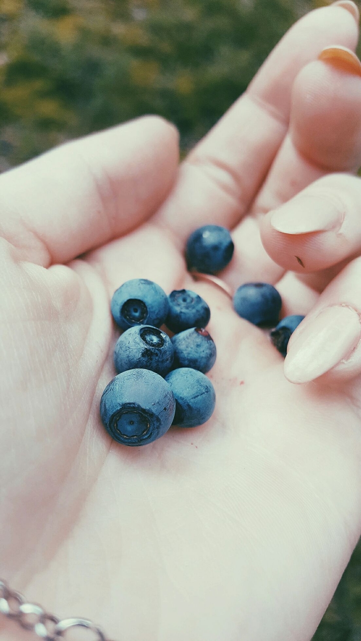 blueberries look good in my hand