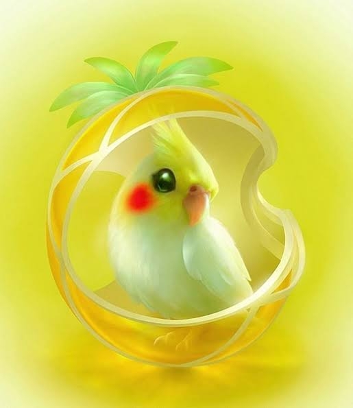 lovely bird