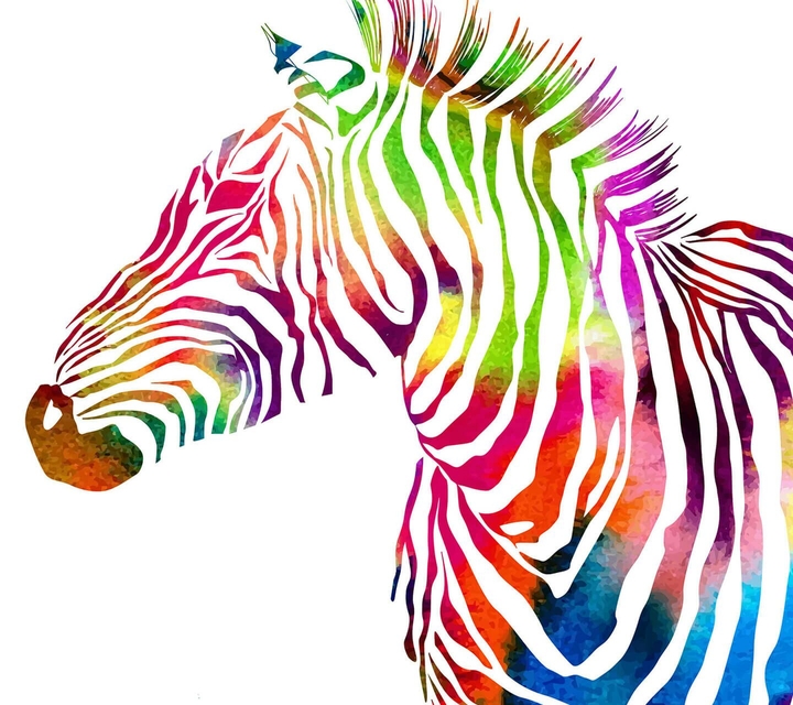 Colourful Zebra