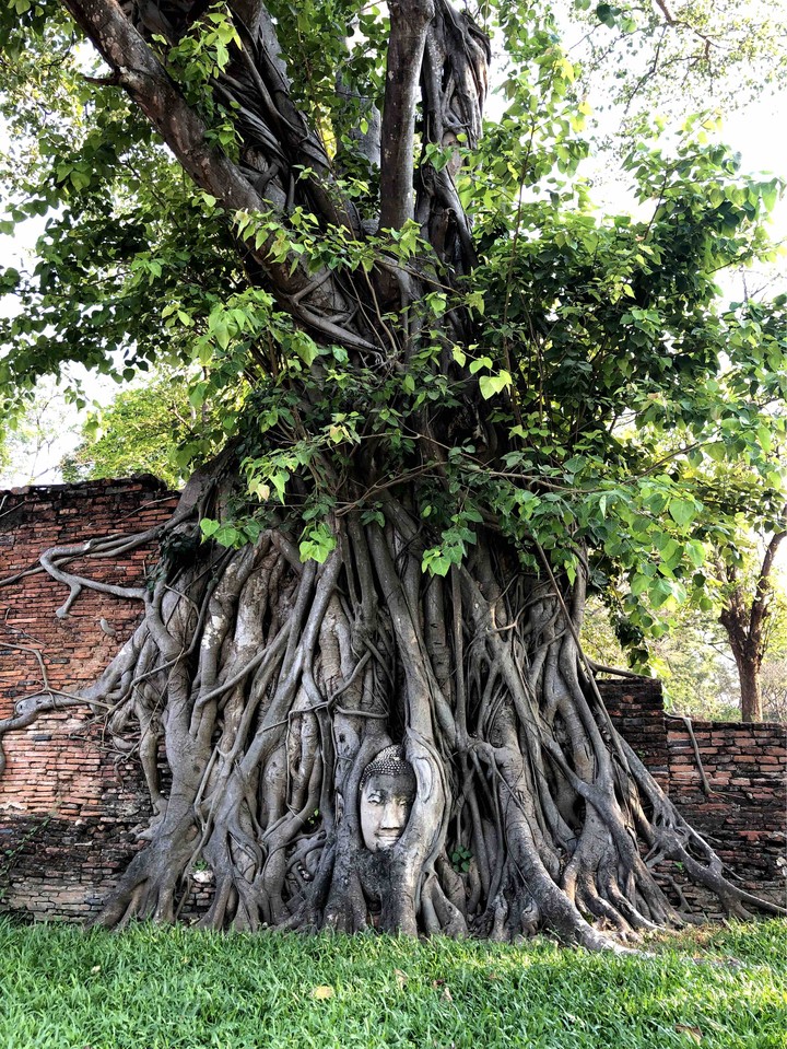 Thailand Buda