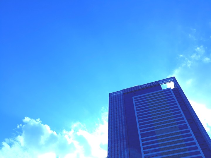 SKY BIZ